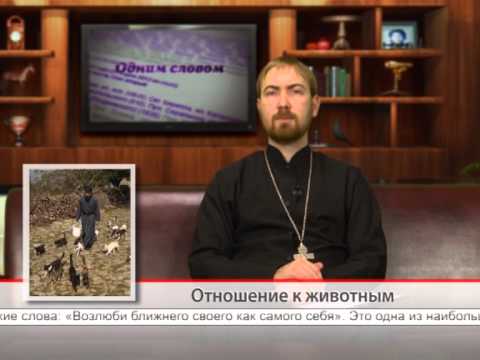 Отношение к животным