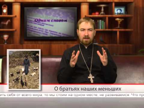 О брятьях наших меньших