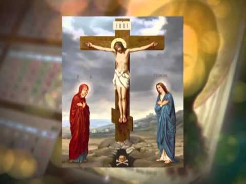 Кузбасский ковчег № 392