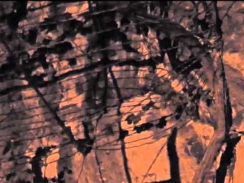 Кузбасский ковчег № 403