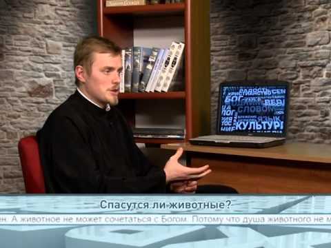 Спасутся ли животные?