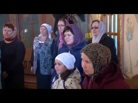 Кузбасский ковчег № 499