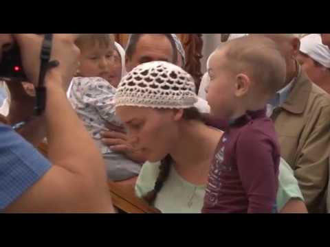 Кузбасский ковчег 512