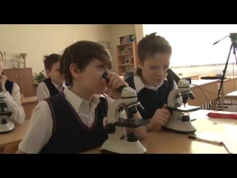 Кузбасский ковчег № 528