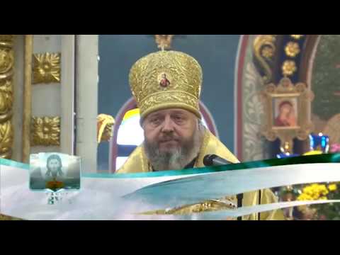 Кузбасский ковчег № 539