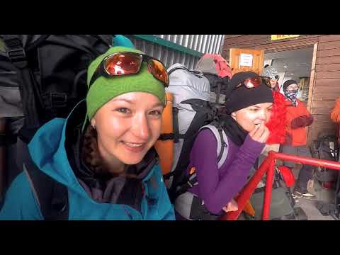 Кузбасский ковчег № 563