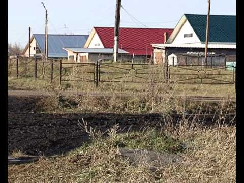 Кузбасский ковчег № 269