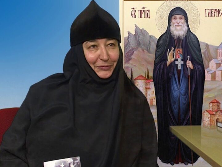 Кузбасский ковчег № 678