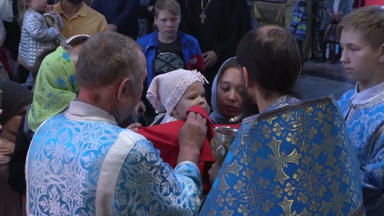 Кузбасский ковчег № 775