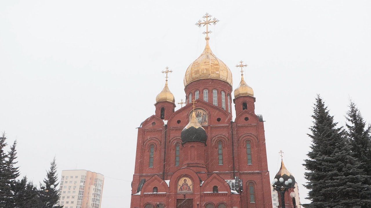 Кузбасский ковчег № 800