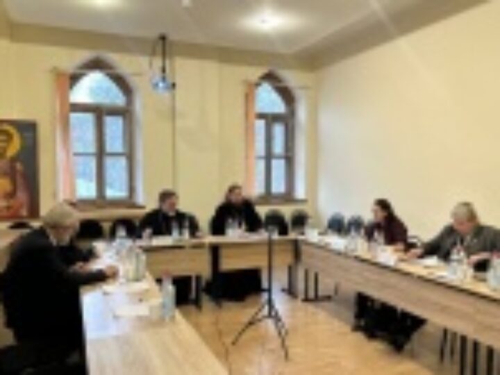 Состоялось очередное пленарное заседание Синодальной комиссии по биоэтике