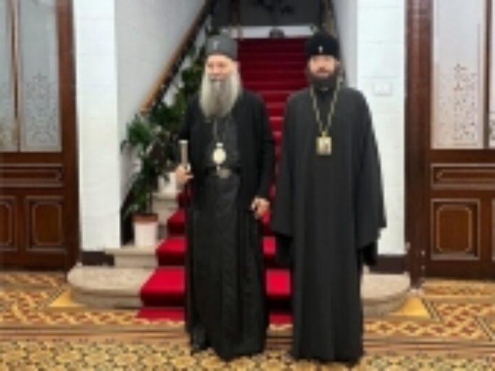 Митрополит Волоколамский Антоний встретился со Святейшим Патриархом Сербским Порфирием