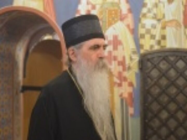 Митрополит Бачский Ириней: Разделение на Украине обернулось разделением и во всем Православии