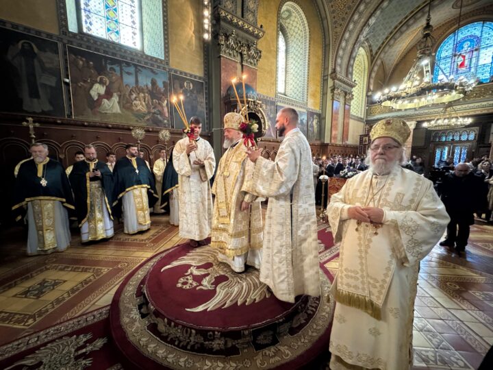 Глава Кузбасской митрополии с братским визитом посетил Сремскую епархию Сербской Православной Церкви